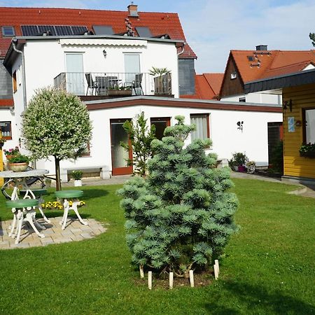 Pension Nr. 13 - B&B ピルナ エクステリア 写真