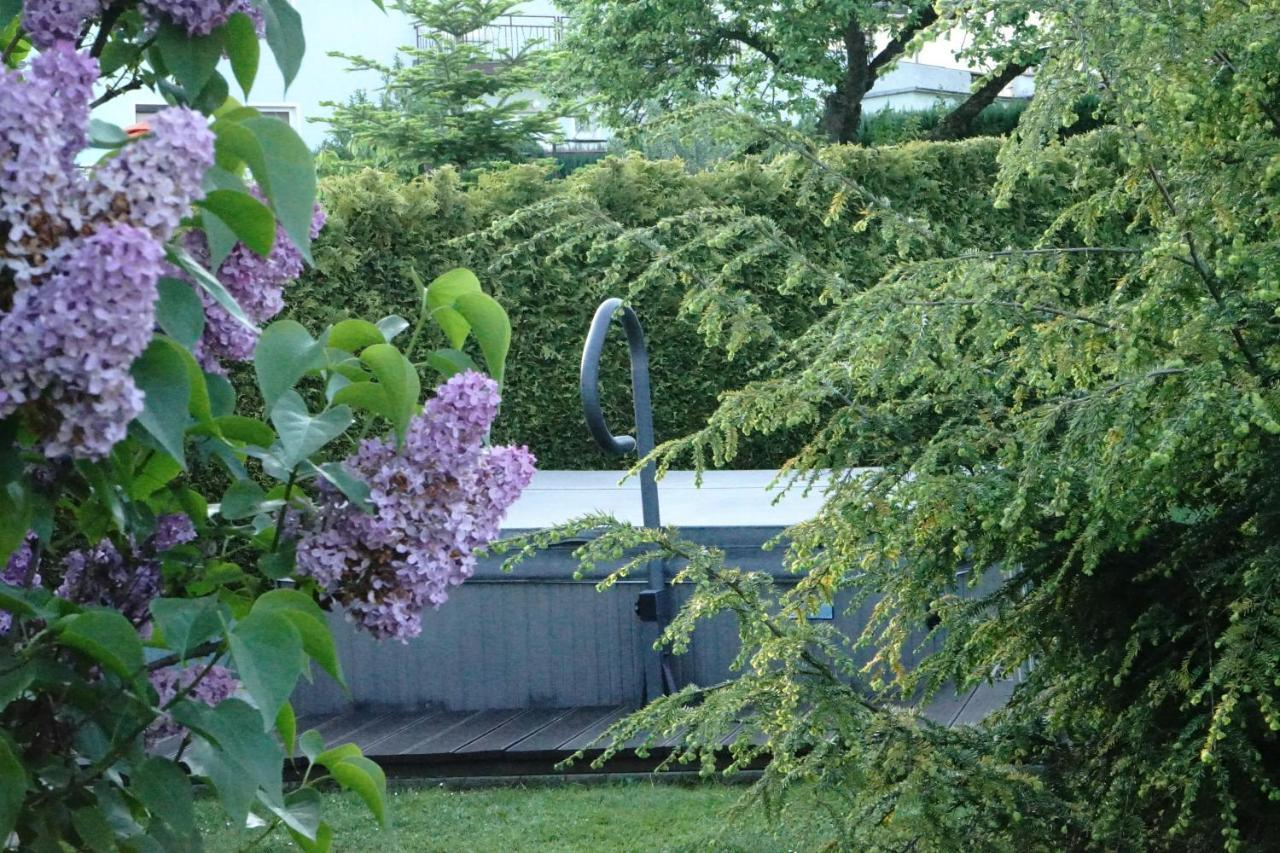 Pension Nr. 13 - B&B ピルナ エクステリア 写真